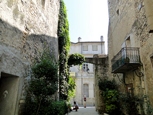 ruelle arche de saint rémy de provence